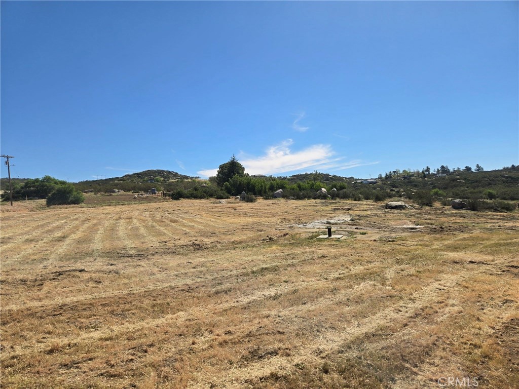 40575 Crazy Horse Dr Property Photo 6