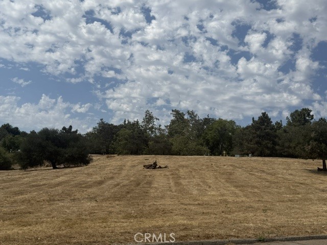 0 Ramona Property Photo 3
