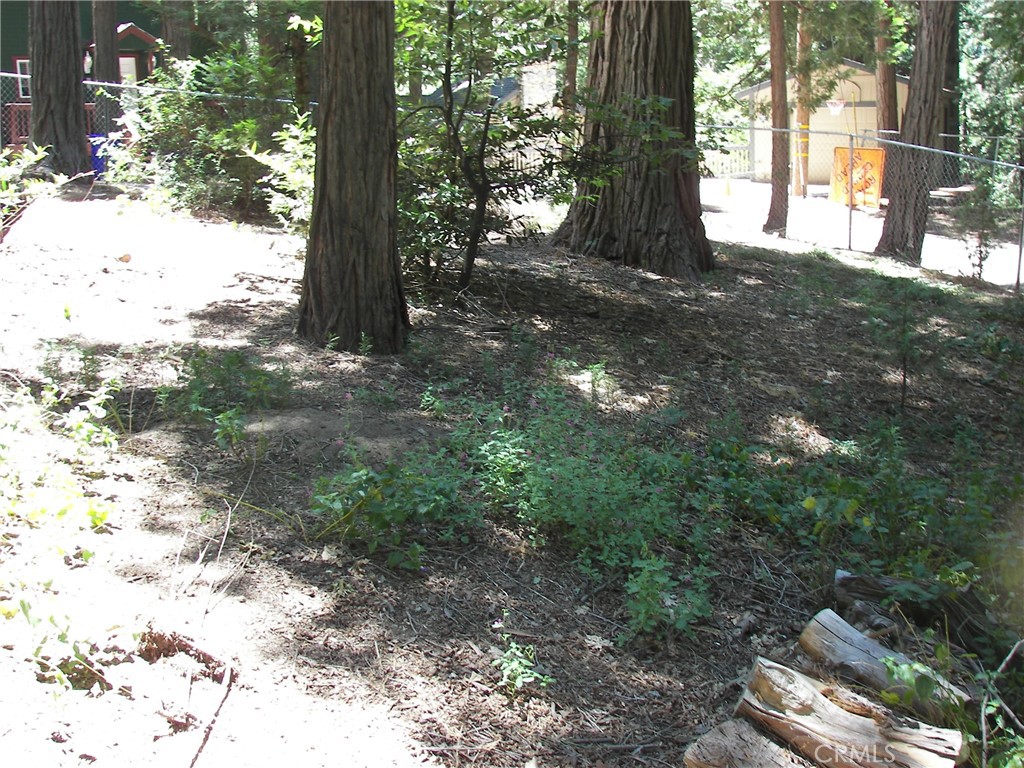 1101 Big Tree Property Photo 3