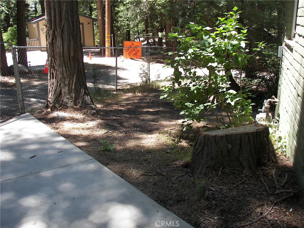 1101 Big Tree Property Photo 5