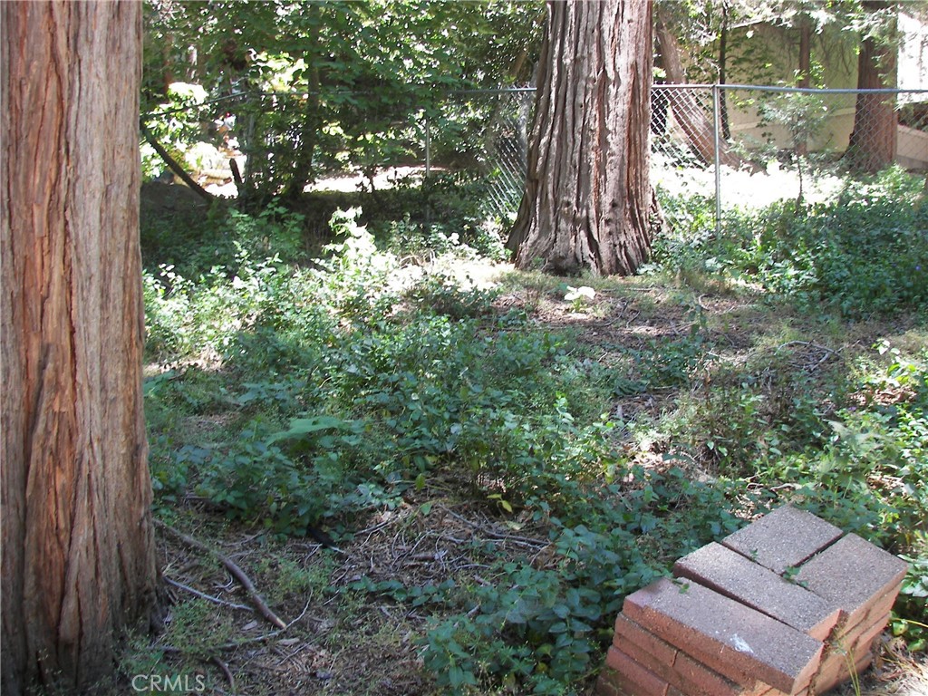 1101 Big Tree Property Photo 26