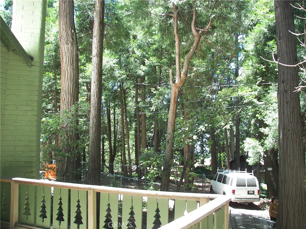 1101 Big Tree Property Photo 29