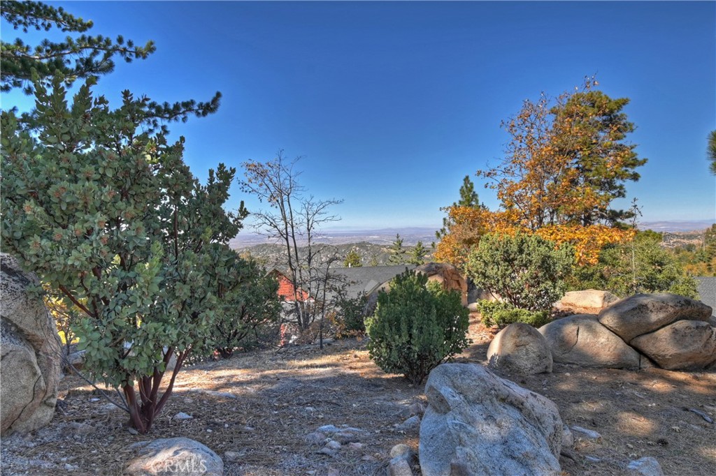 26077 Walnut Hills Property Photo 36