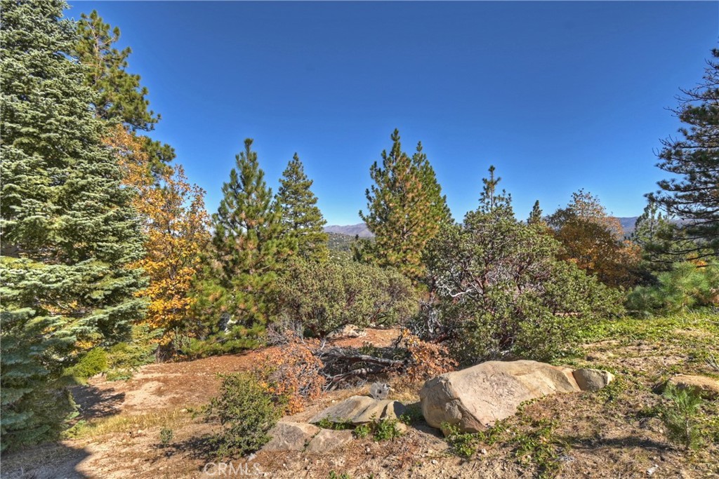 26077 Walnut Hills Property Photo 40