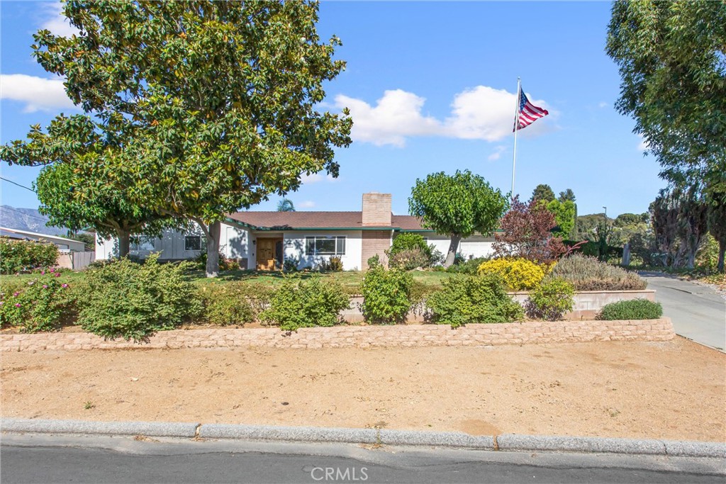 1041 Holmes Property Photo 1