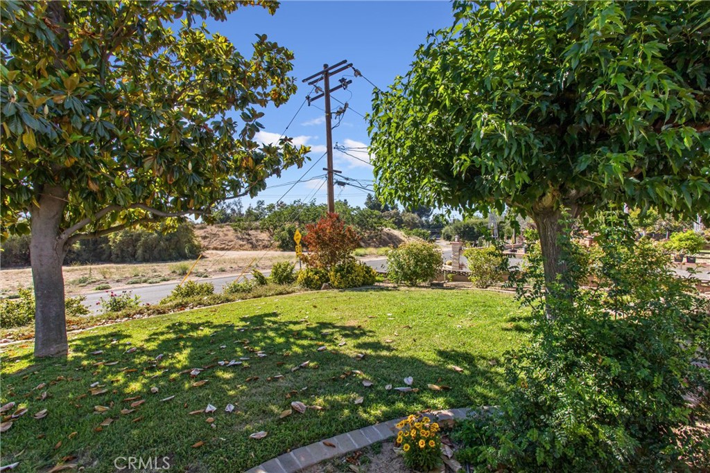 1041 Holmes Property Photo 27