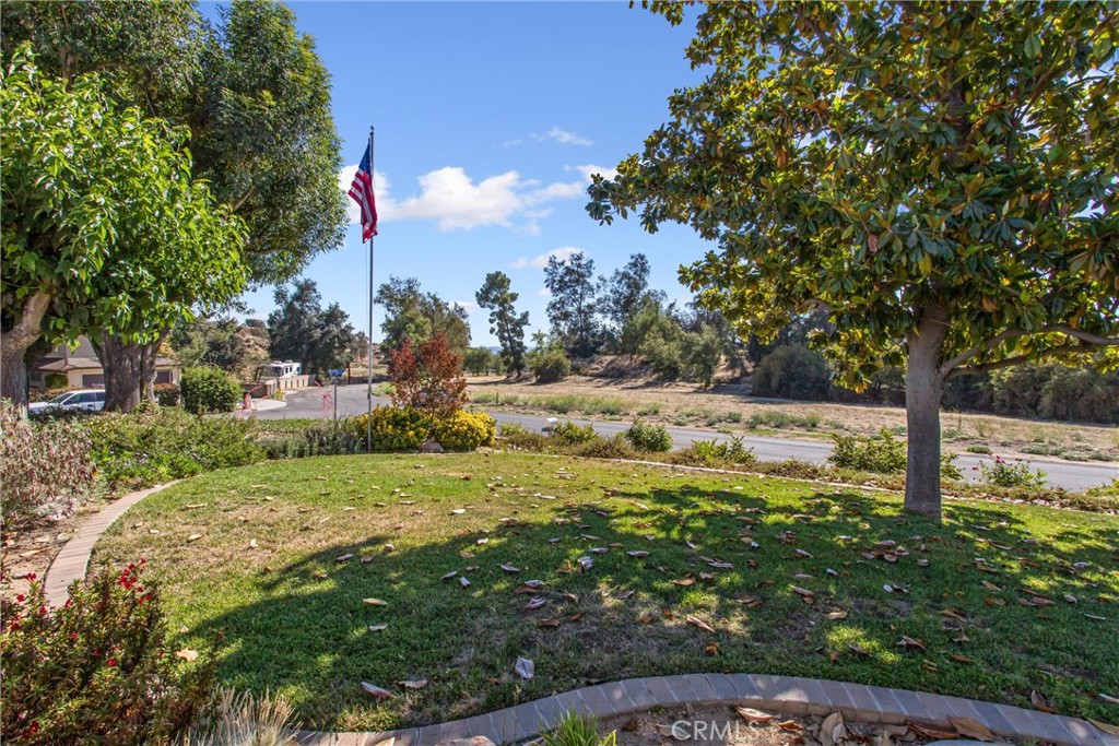 1041 Holmes Property Photo 28