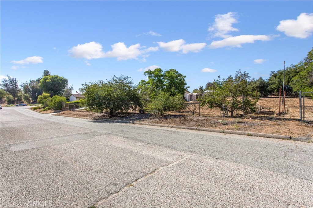 1041 Holmes Property Photo 49