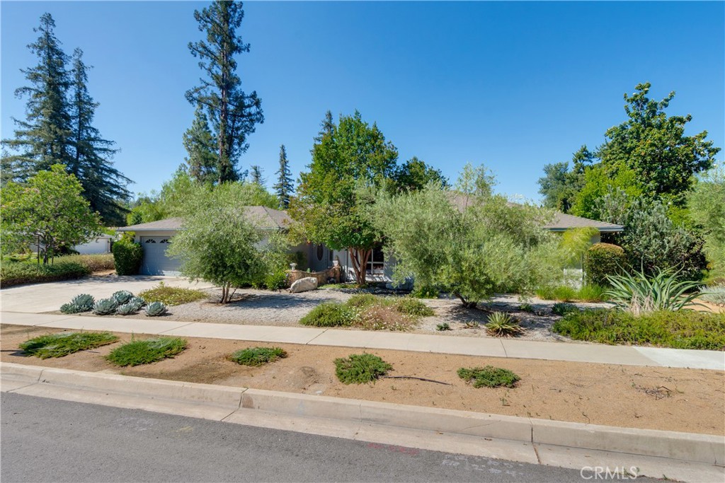 352 Campbell Avenue Property Photo 29