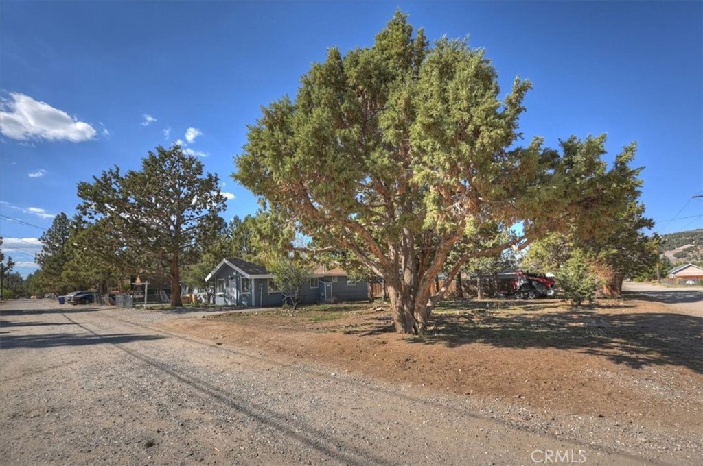 2165 3rd Property Photo 5