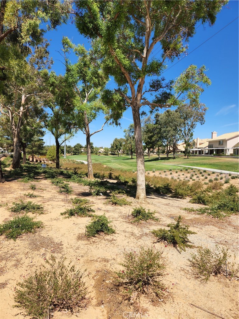 1909 Fairway Oaks Property Photo 35