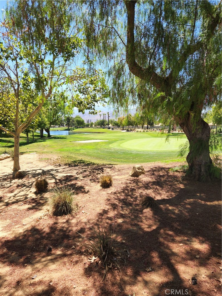 1909 Fairway Oaks Property Photo 41
