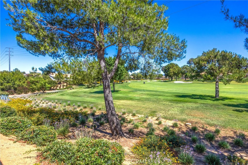 6099 Turnberry Property Photo 45
