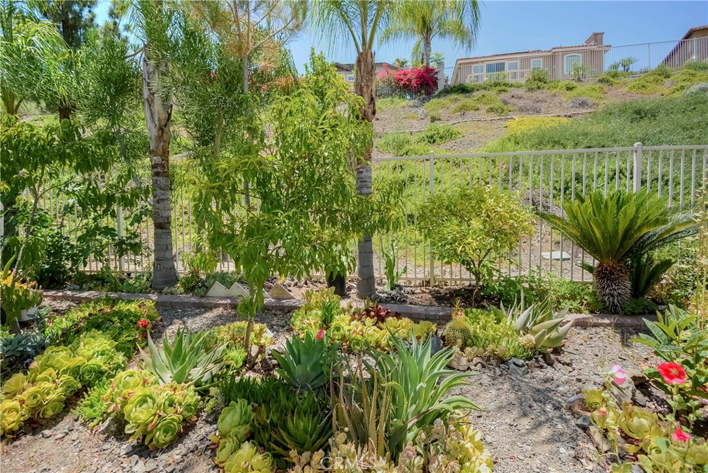32 Via De La Valle Property Photo 49