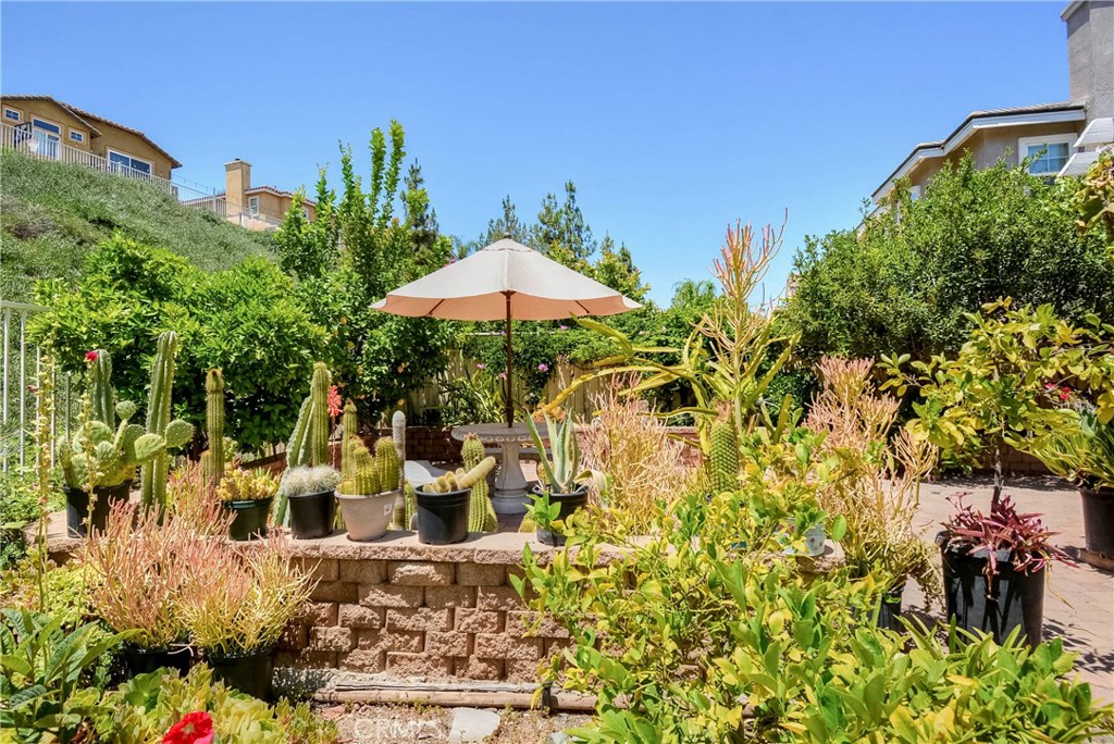 32 Via De La Valle Property Photo 52