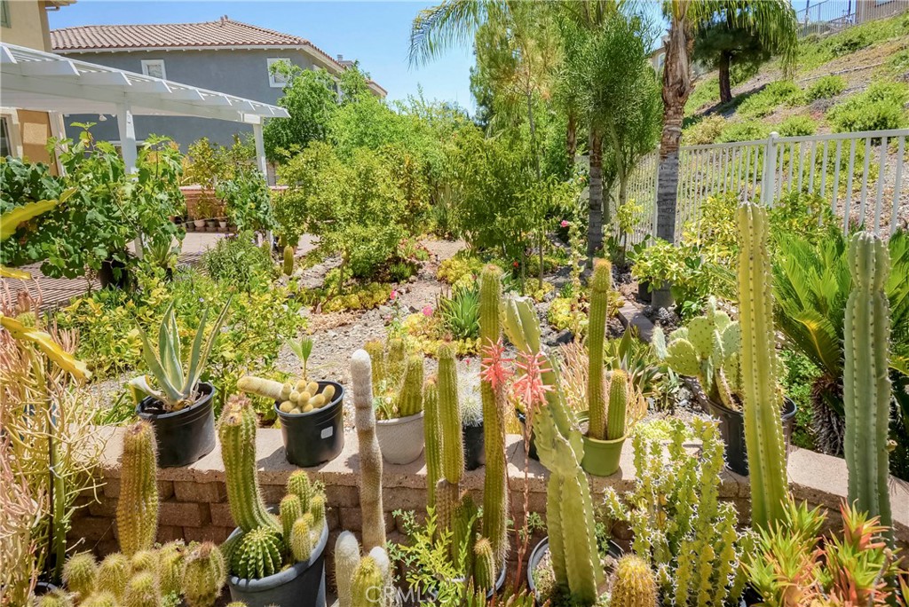 32 Via De La Valle Property Photo 57