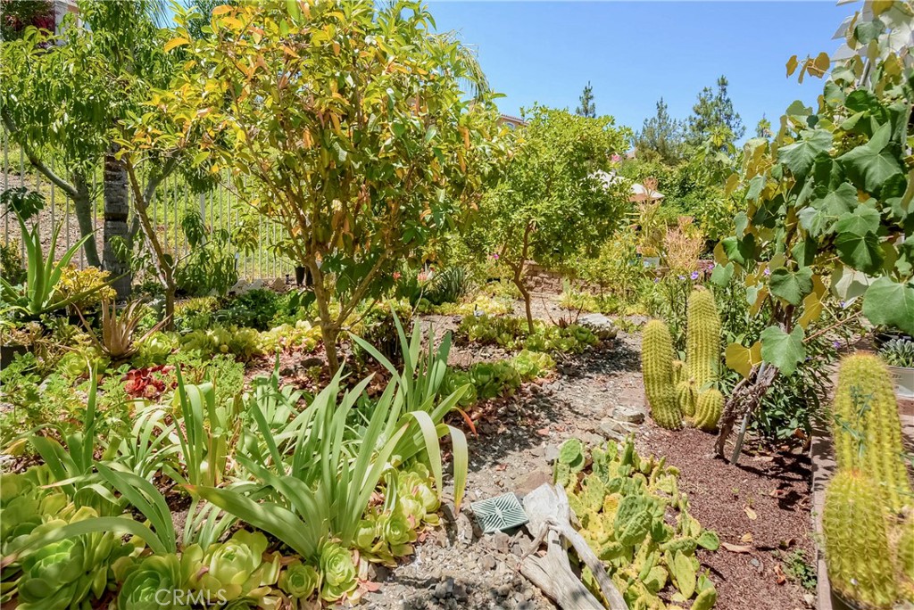 32 Via De La Valle Property Photo 64