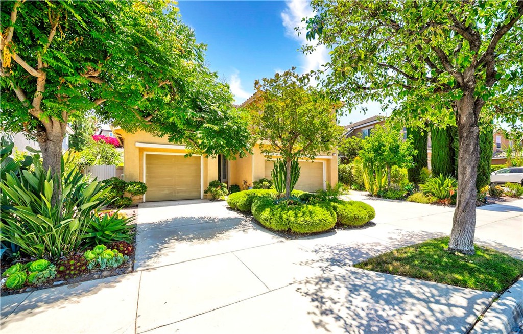 32 Via De La Valle Property Photo 70
