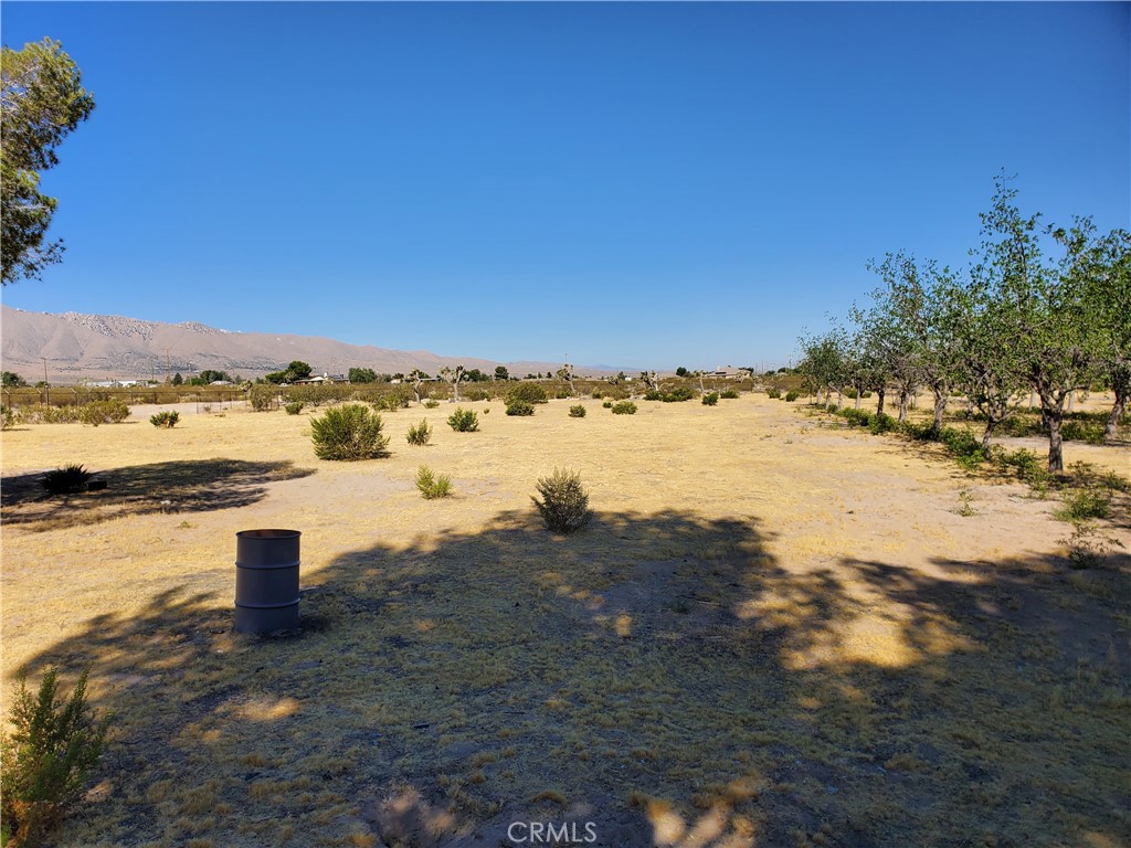 9870 Cody Property Photo 5