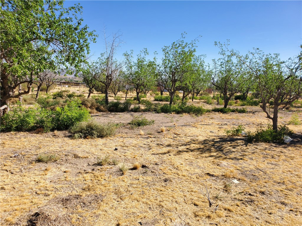 9870 Cody Property Photo 6