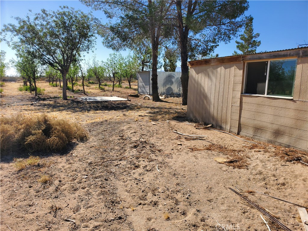 9870 Cody Property Photo 7