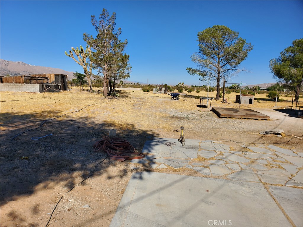 9870 Cody Property Photo 11