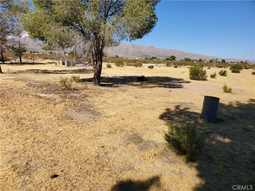 9870 Cody Property Photo 12