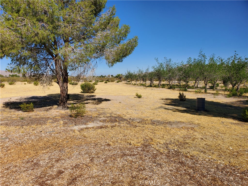 9870 Cody Property Photo 13
