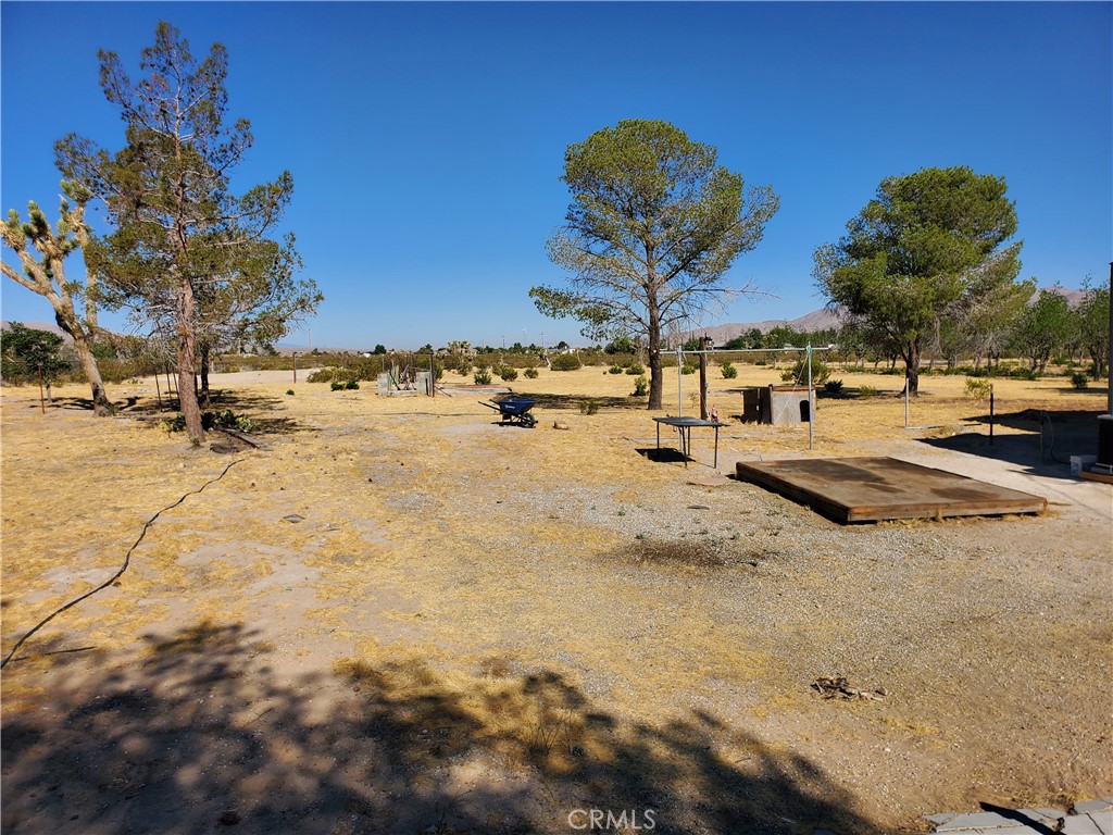 9870 Cody Property Photo 32