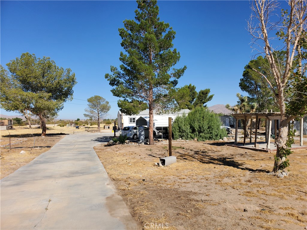 9870 Cody Property Photo 35