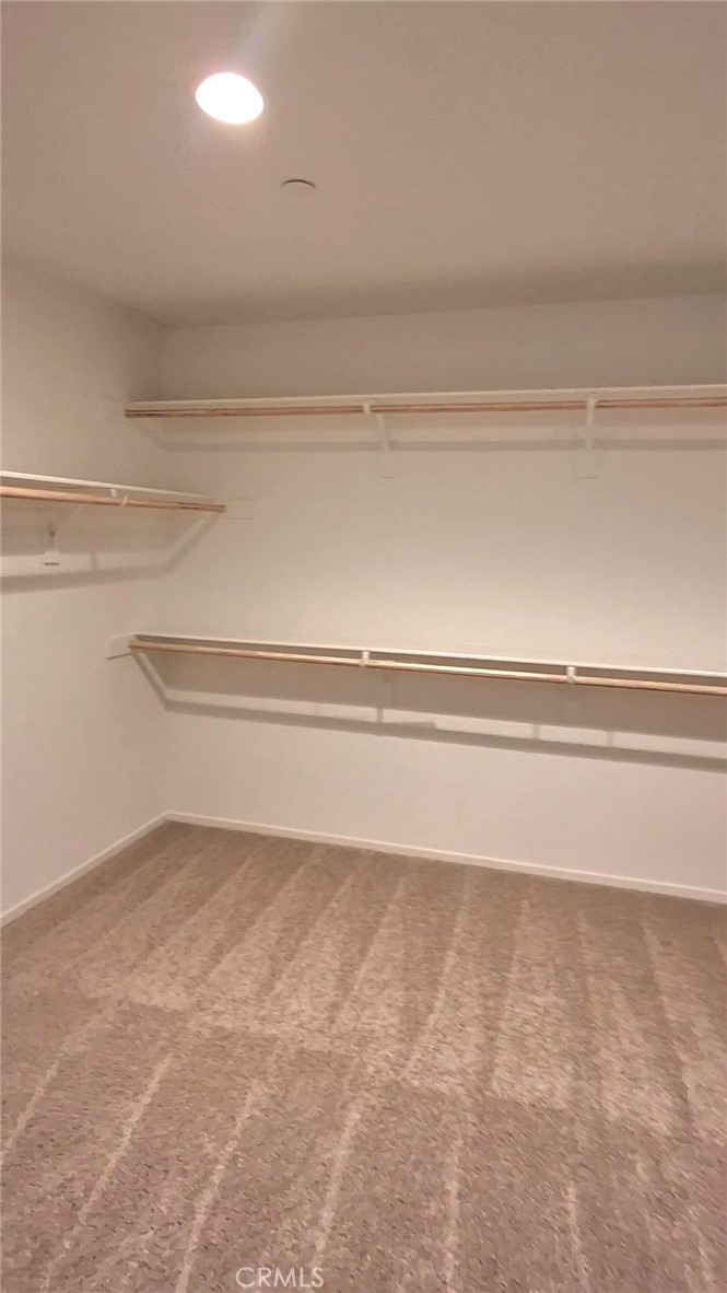 434 Knotgrass Street Property Photo 6