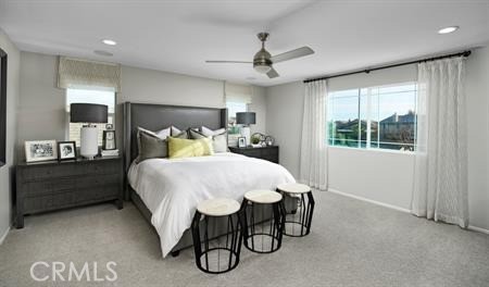 434 Knotgrass Street Property Photo 9