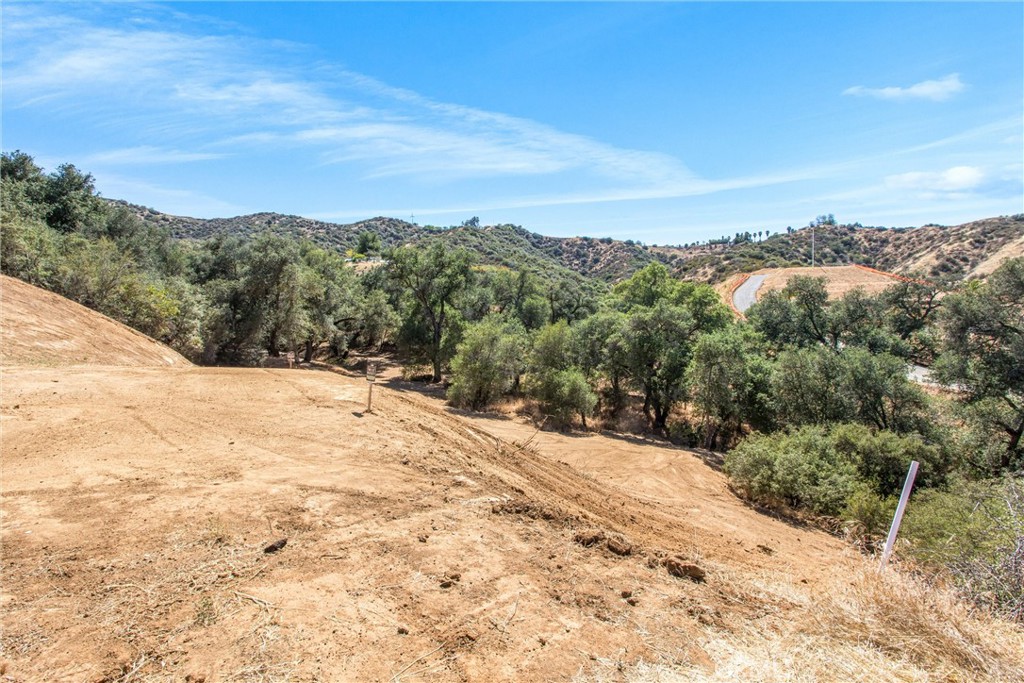 13582 Oak Mountain Drive Property Photo 4