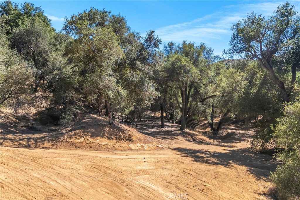 13582 Oak Mountain Drive Property Photo 6