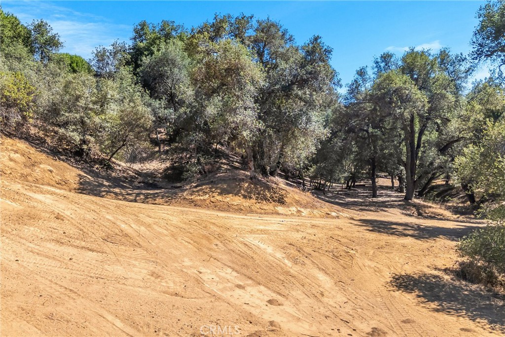 13582 Oak Mountain Drive Property Photo 8