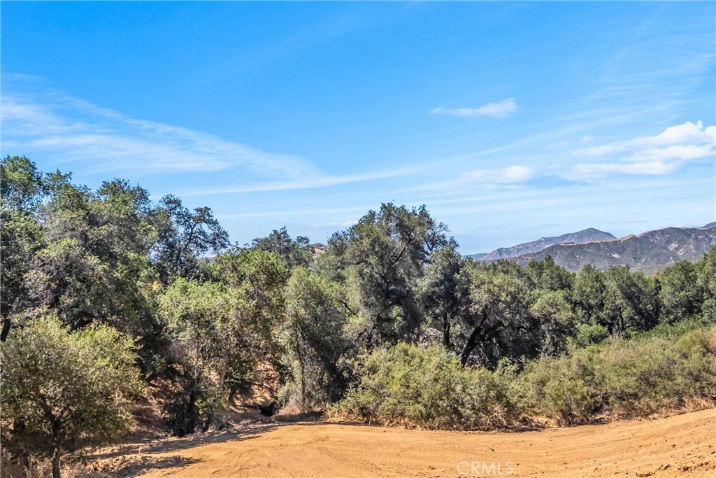 13582 Oak Mountain Drive Property Photo 12