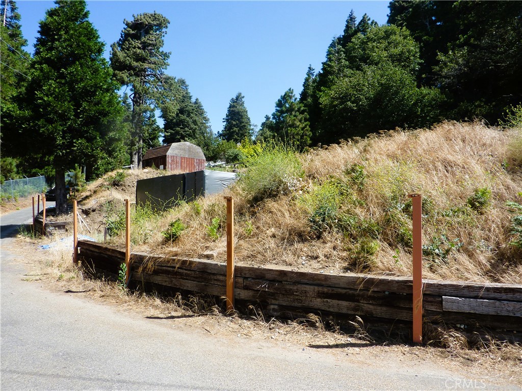 21500 Peak Circle Property Photo 10