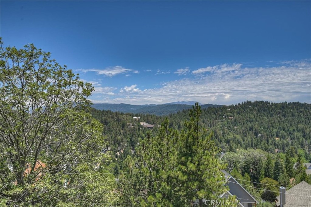 885 Del Norte Property Photo 42