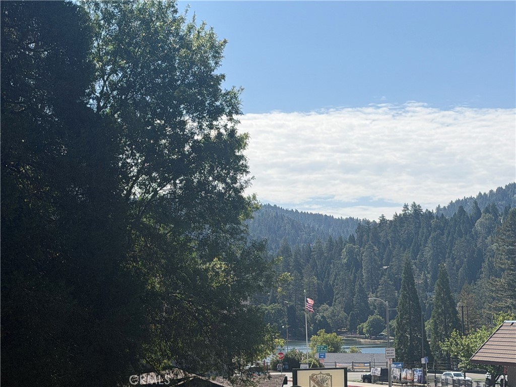 0 Lake Drive Property Photo 1