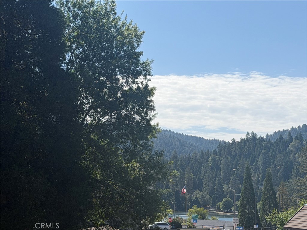 0 Lake Drive Property Photo 2