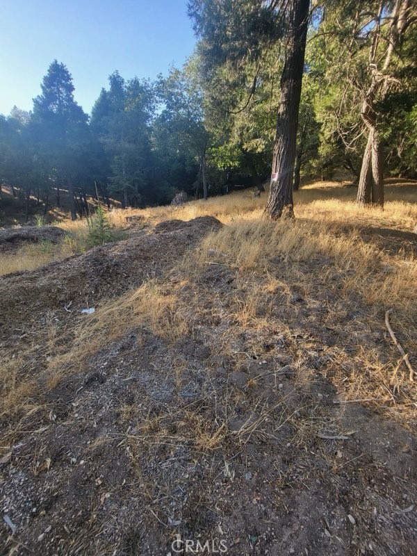 0 Lake Drive Property Photo 8