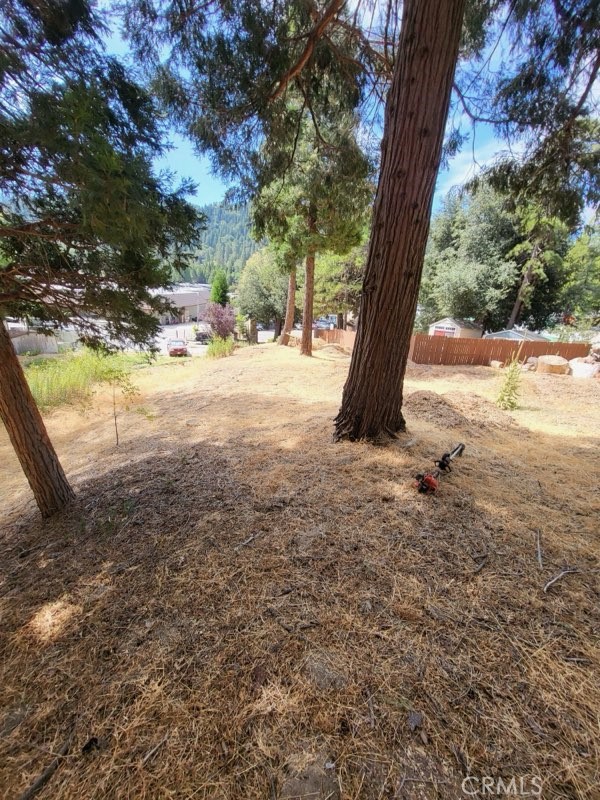 0 Lake Drive Property Photo 10