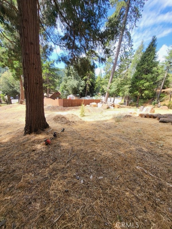 0 Lake Drive Property Photo 11