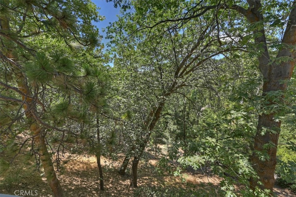 27809 North Bay Property Photo 32