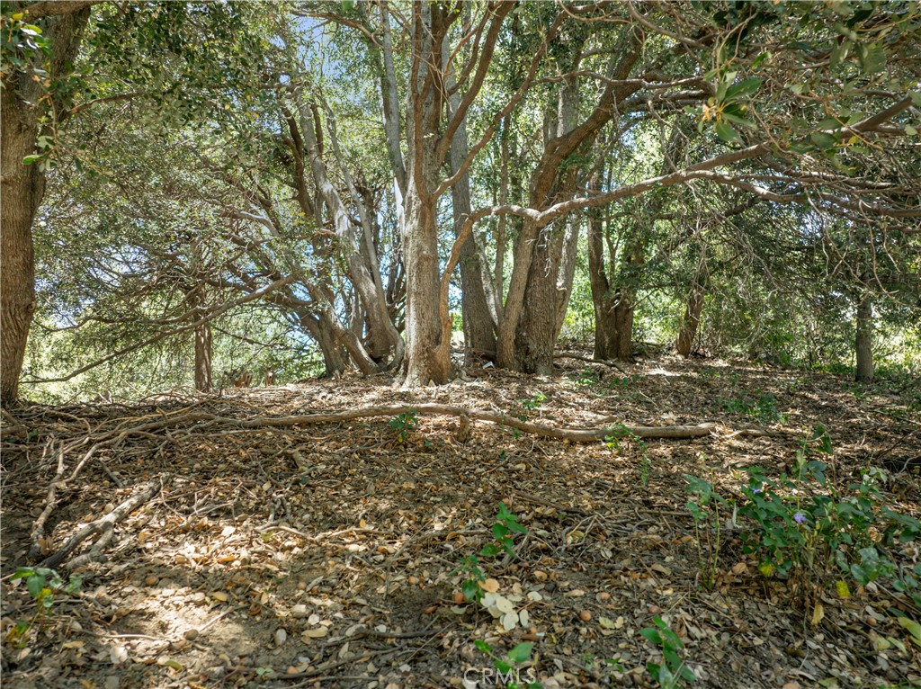 2727 Delle Property Photo 4