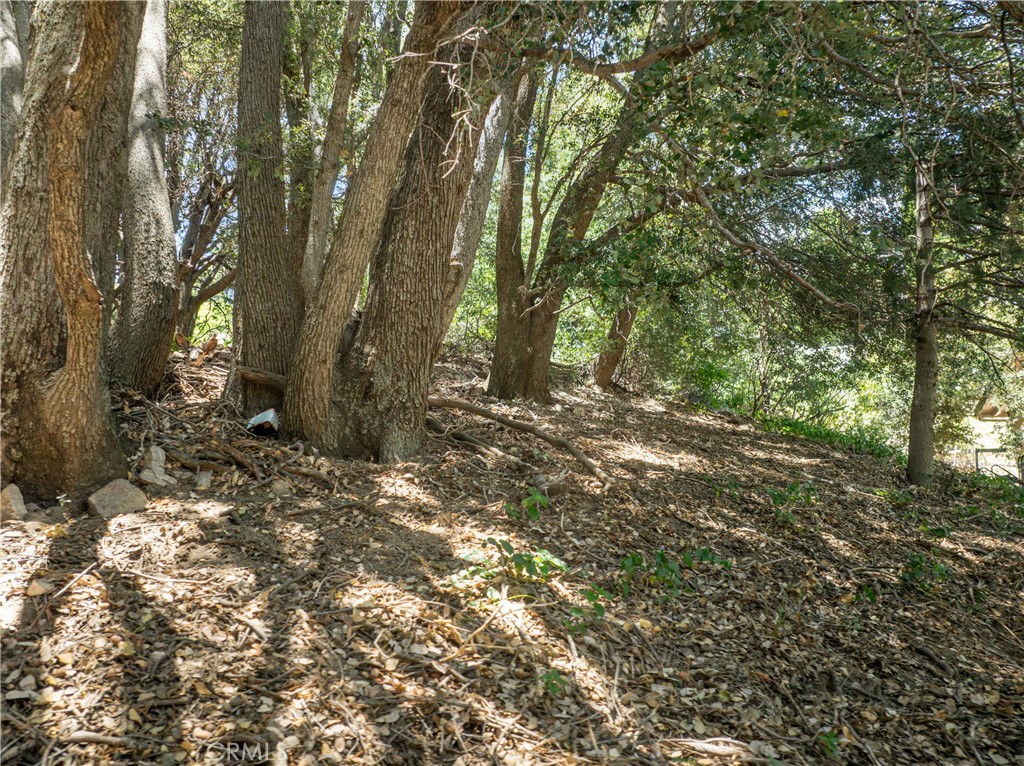 2727 Delle Property Photo 5