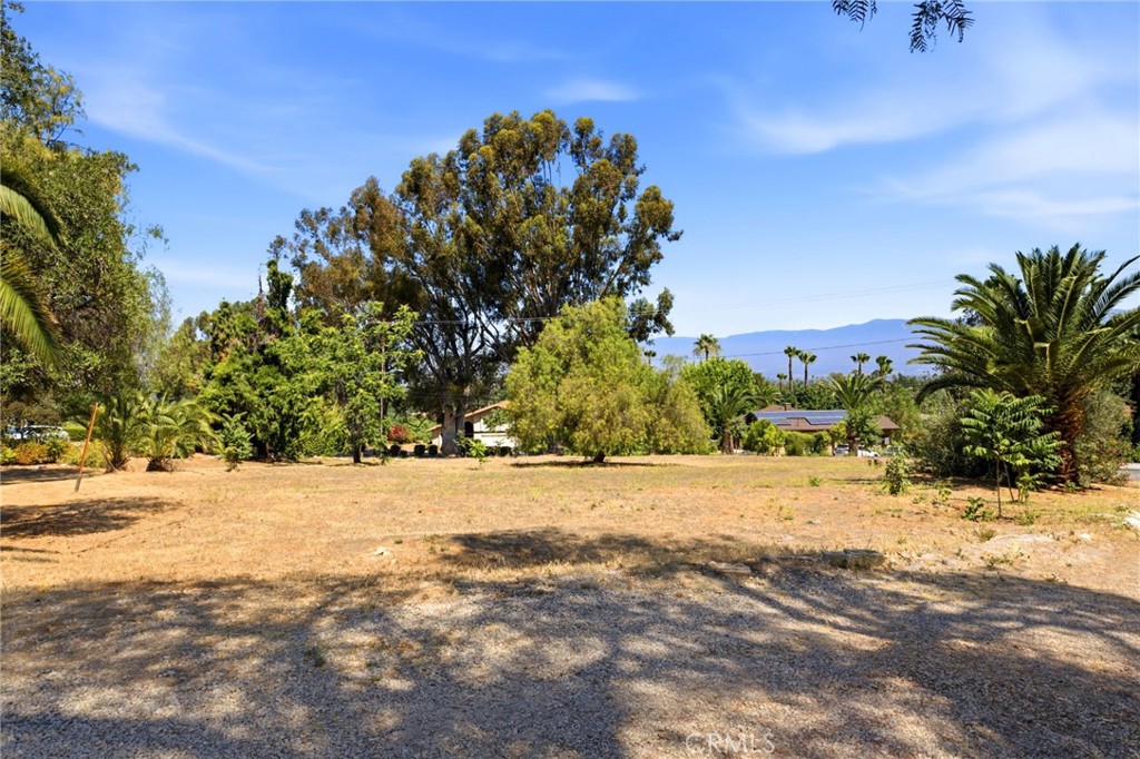 1464 Pacific Street Property Photo 3