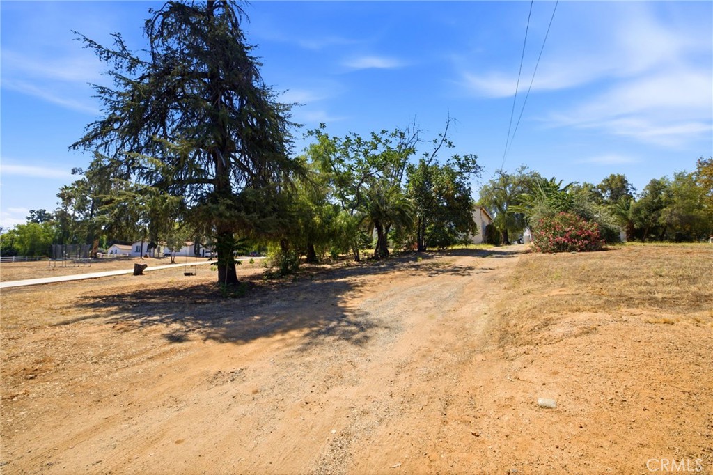 1464 Pacific Street Property Photo 30