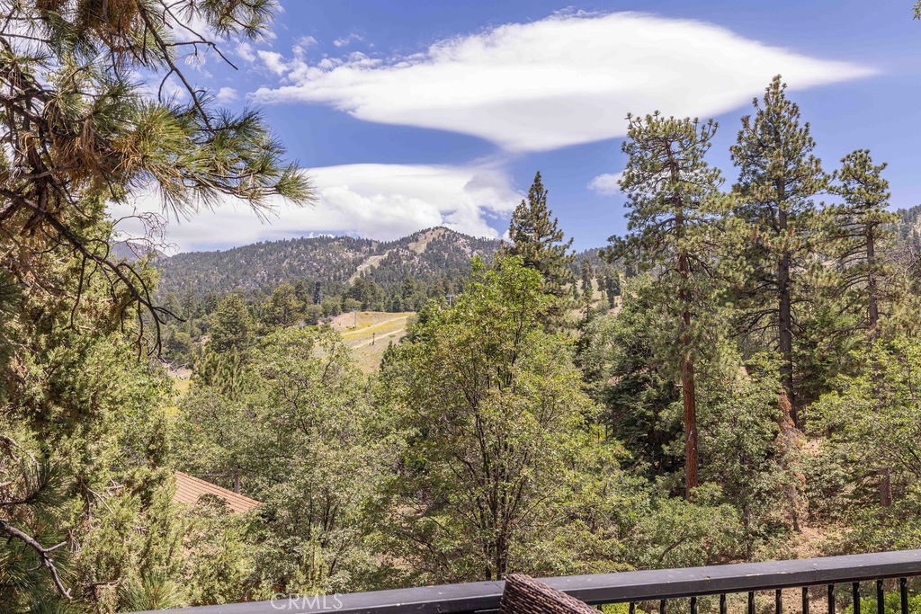 1289 Balsam Property Photo 6