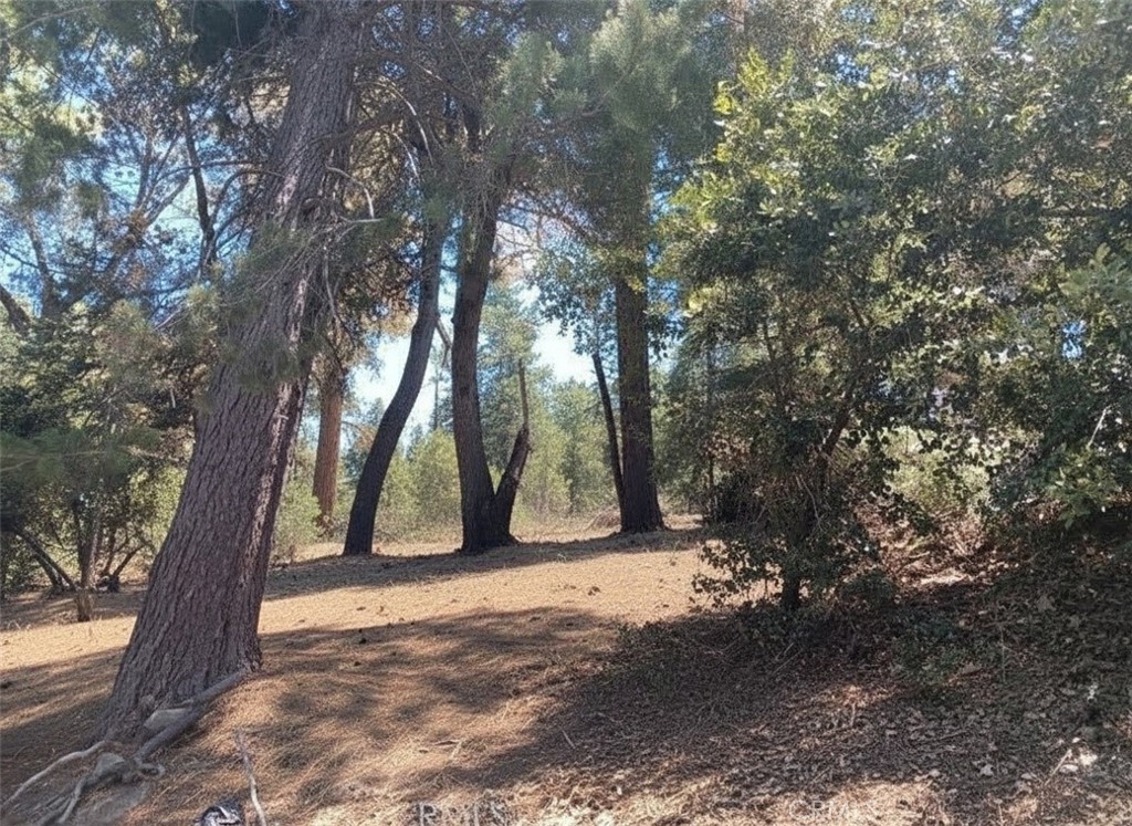 1102 Chateau Drive Property Photo 4